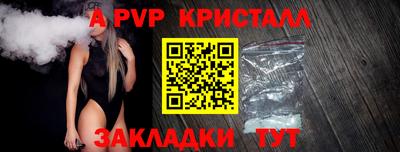 мяу мяу мука Будённовск