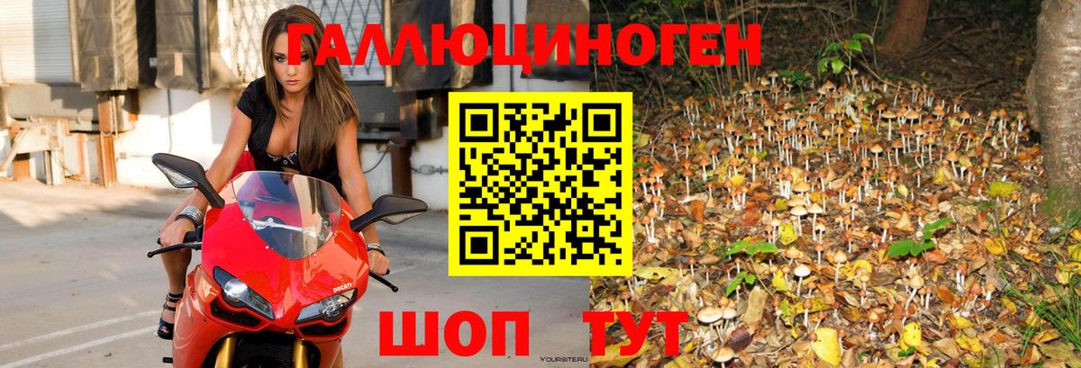 Псилоцибиновые грибы мицелий Рузаевка